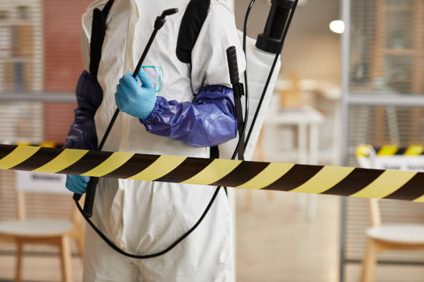 Professional Sewage Cleanup technician working in Highland Park, TX